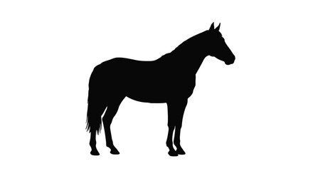 Standing Horse Side View Silhouette