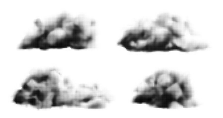 Halftone clouds vector set. Black dotted smoke isolated. Retro design collage elements, newspaper or magazine vintage stickers