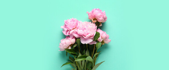 Beautiful bouquet of pink peonies on turquoise background