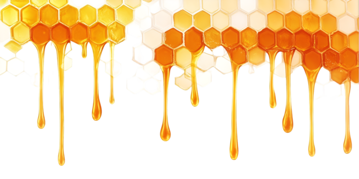 Honeycomb with Liquid Honey Dripping on Transparent Background