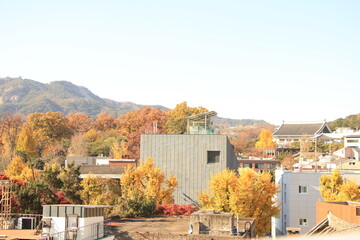 Beautiful Autumn Foliage in Bukcheon, Seoul, South Korea
