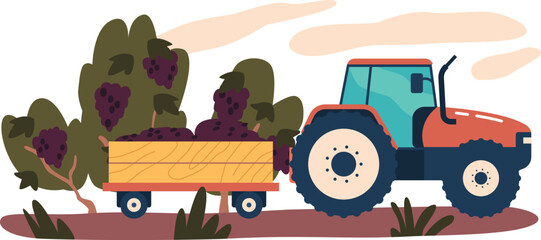 Tractor delivering grapevine harvest vector illustration