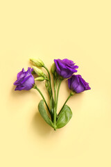 Eustoma flowers on beige background