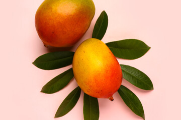 Fresh ripe mangoes on light pink background