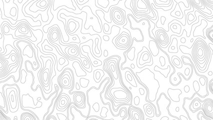 topographic wavy pattern design. 3D waves, White wave paper curved reliefs. Black and white abstract background vector, Abstract topographic contours map background.