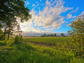 A serene and tranquil landscape that beautifully showcases vibrant skies along with flourishing...