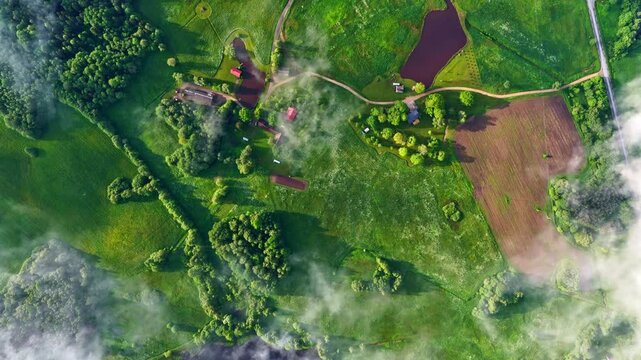 Green countryside with farmsteads of Latvia and clouds, aerial top down