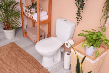 Interior of restroom with toilet bowl and shelf unit