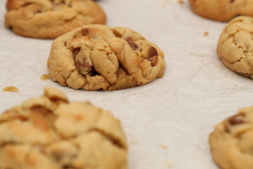Golden, gooey chocolate chip cookies fresh from the oven