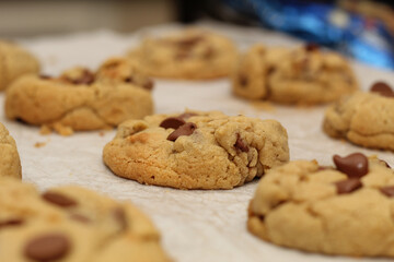 Golden, gooey chocolate chip cookies fresh from the oven
