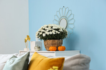 Bouquet of chrysanthemum flowers with pumpkins and decor on chest of drawers in living room