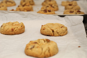 Fresh Chocolate Chip Cookies Cooling on a Tray – Close-Up