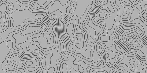 Abstract curve grid map and topo contour map white background. Topographic contour lines. Topographic map. Geographic mountain relief. Abstract lines background. Contour maps. 