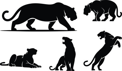 Panther and tiger silhouette vector set with crouching, walking, roaring and aggressive posture