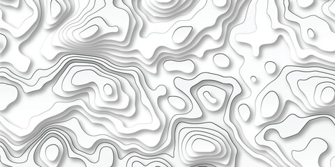 Abstract curve grid map and topo contour map white background. Topographic contour lines. Topographic map. Geographic mountain relief. Abstract lines background. Contour maps. 