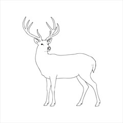 Fototapeta premium Line Art Deer with Antlers – Wildlife Outline Vector Illustration