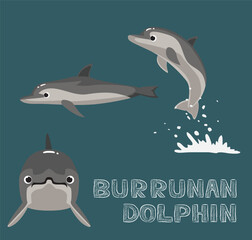 Burrunan Dolphin Cartoon Vector Illustration