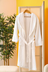 White bathrobe hanging on folding screen and houseplant against color wall
