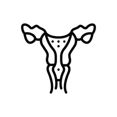 Black line icon for reproductive organ