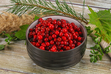 Natural organic wild forwst lingonberry