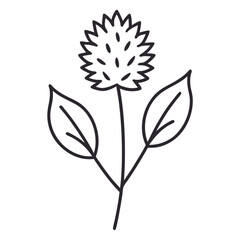 black and white flowers