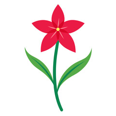 catch fly flower isolated on white background