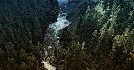 Fototapeta premium Beautiful dark forest with waterfall