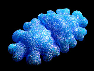 Euastrum oblongum Desmid - 3D Microscopic Render