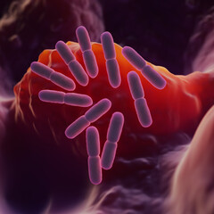 3D Render of Probiotic Bacteria - Rod-Shaped Microbes (Lactobacillus)