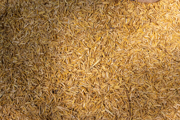 close-up shot of a dense layer of golden-yellow rice husks. The texture shows the individual hulls and their random arrangement