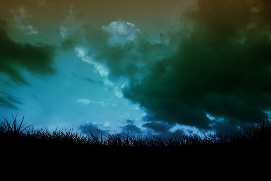 Fototapeta Silhouette of tall grass is lining moody meadow horizon in flat design, with rolling clouds