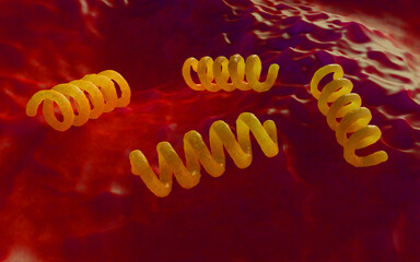 Spiral Bacteria 3D Render - Microscopic View of Spirillum or Spirochete