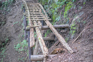 石尾根の朽ちた木橋