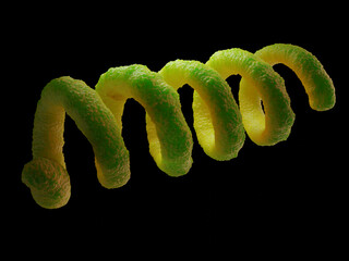Spiral Bacteria 3D Render - Microscopic View of Spirillum or Spirochete