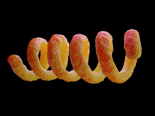 Spiral Bacteria 3D Render - Microscopic View of Spirillum or Spirochete