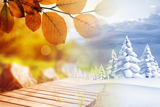 Fototapeta Autumn changing to winter