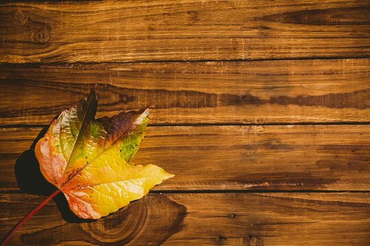 Fototapeta Wooden table with autumn leaves