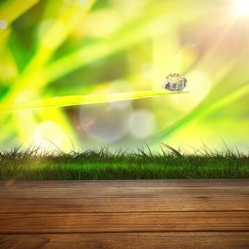 Fototapeta Wooden floor against dew on grass
