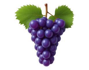 Fototapeta premium Close-up of a Realistic Purple Grape Cluster with Leaves