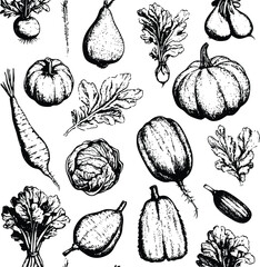 Hand-drawn vector autumn harvest: vegetables seamless pattern illustration