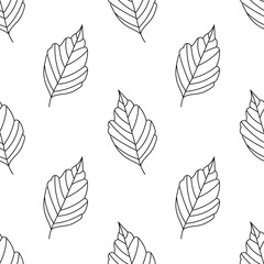 Seamless pattern of outline leaves. Doodle design of ash foliage. Autumn. Vector.