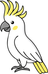 Cute cartoon illustration of a Sulphur-crested Cockatoo.