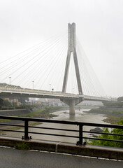 大雨が降る猪名川沿いの景色