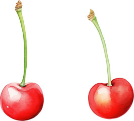 A pair of ripe cherries with green stems. Watercolor clipart perfect for sweet fruit and summer themes.