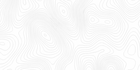 Abstract topography pattern seamless lines sea map modern design white background. Abstract digital topographic contour map concept space geometric strip grid line. Natural discovery of maps.	