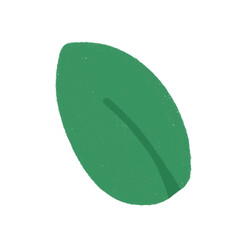 green leaf on a white background