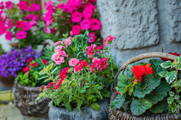 Colorful flowers in baskets bring life to a textured stone backdrop