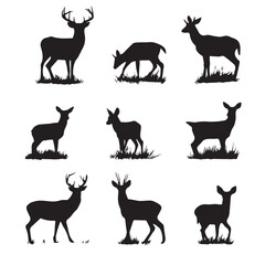 Obraz premium whitetail buck silhouette set, Black & White silhouette set