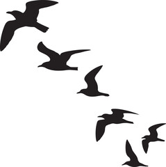 Black Silhouettes of Six Seagulls in Flight birds bird