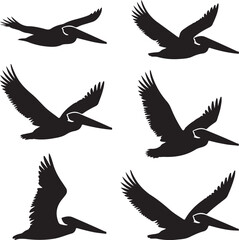 Six Black Pelican Silhouettes in Flight Various Poses